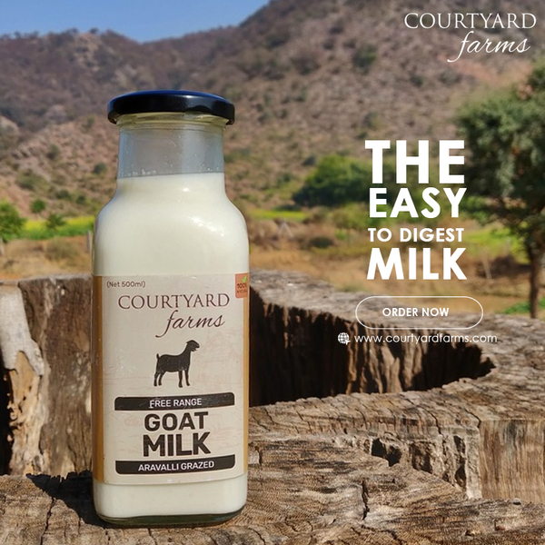Cover photo of Courtyard Farms-Noida | Fresh Goat Milk | Goat Cheese | Goat Milk Ghee